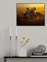 19th Poster och Canvastavla