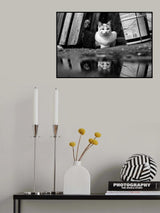 Poster och Canvastavla