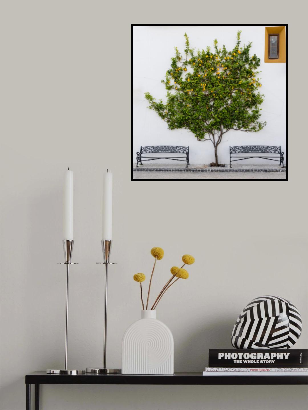 Orange Tree Poster och Canvastavla