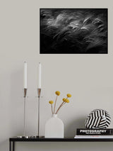 Hedgehog Poster och Canvastavla