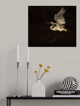Balancing Act Poster och Canvastavla