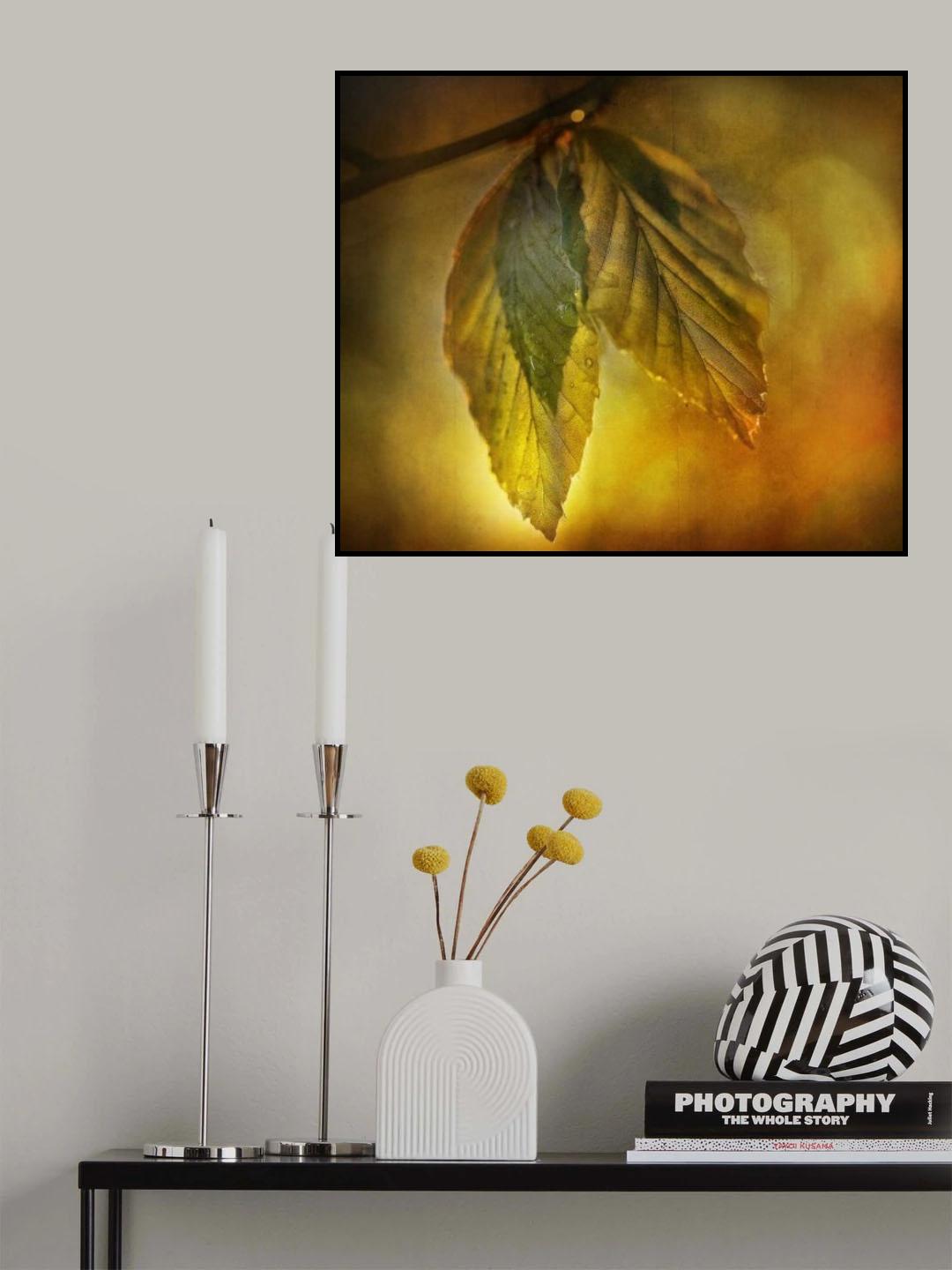 Leaves Poster och Canvastavla