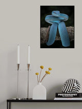 Blue magic Poster och Canvastavla