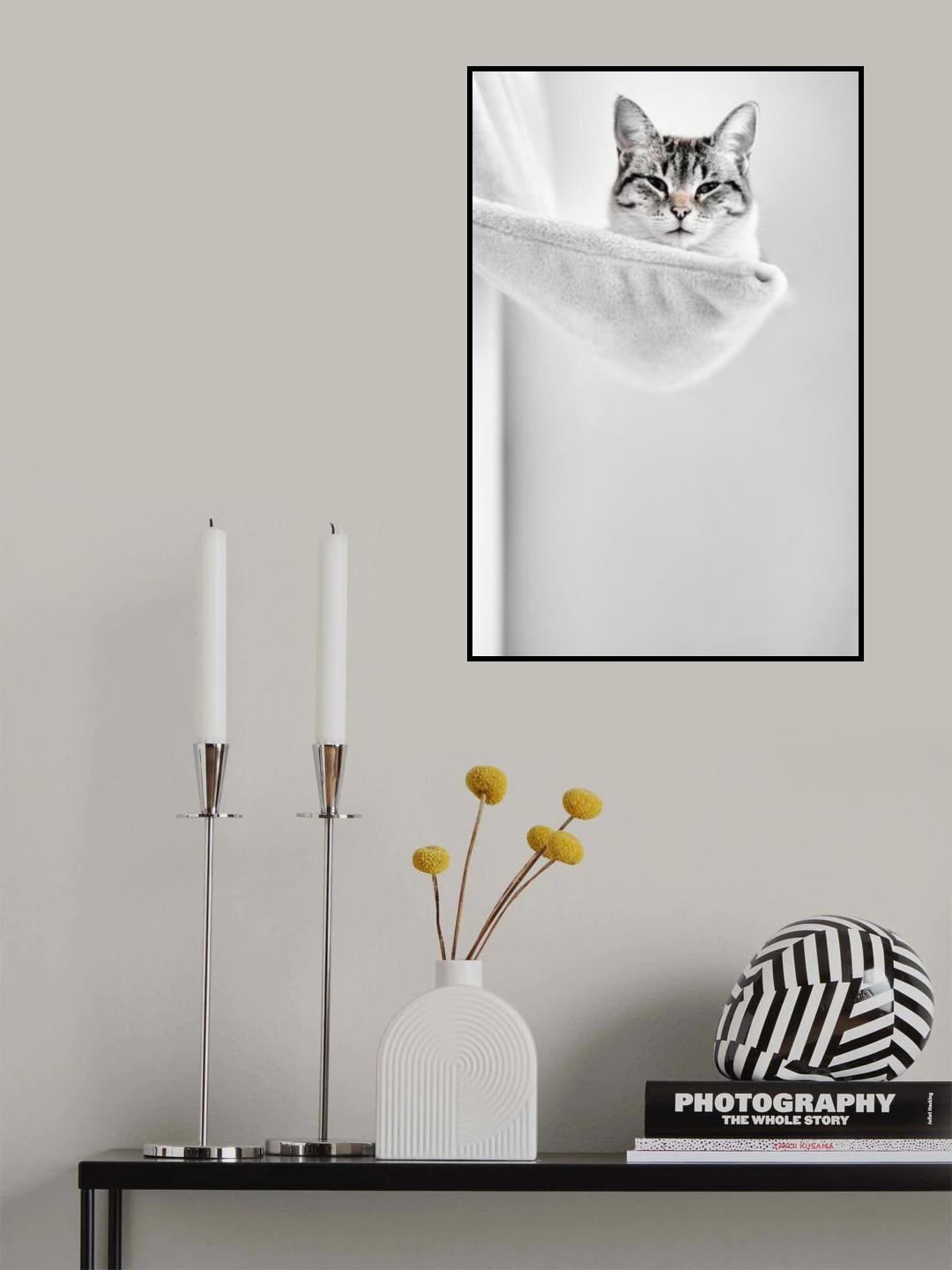 Elevated Cat Poster och Canvastavla