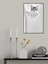 Elevated Cat Poster och Canvastavla
