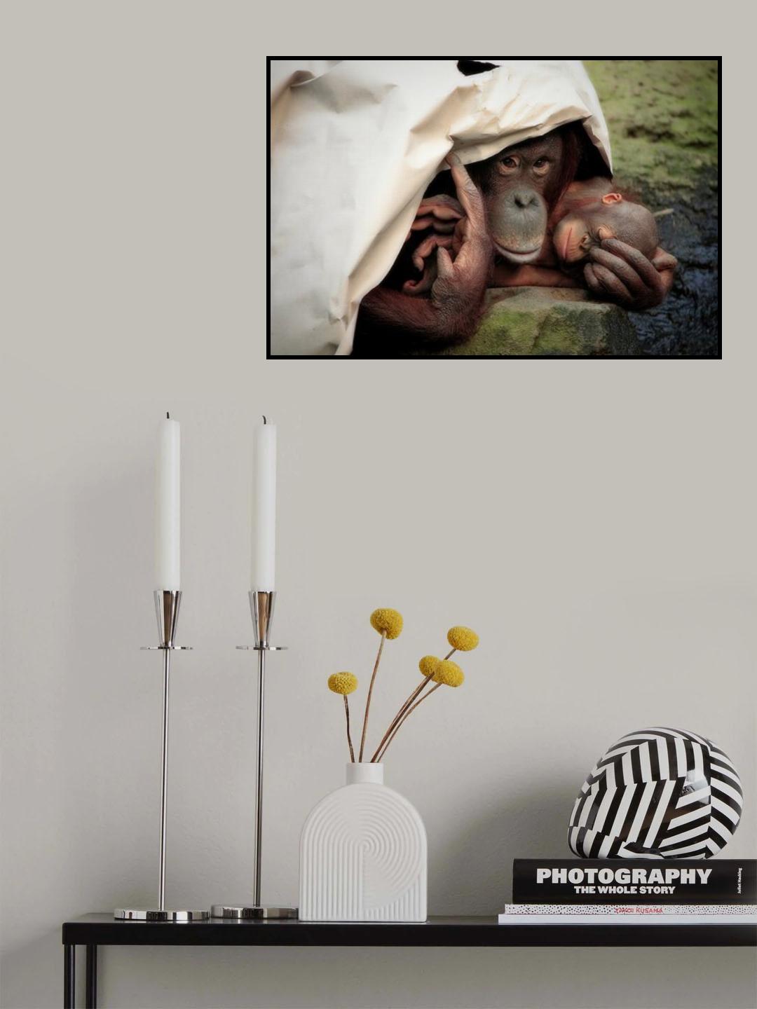 PRIVACY .... Poster och Canvastavla