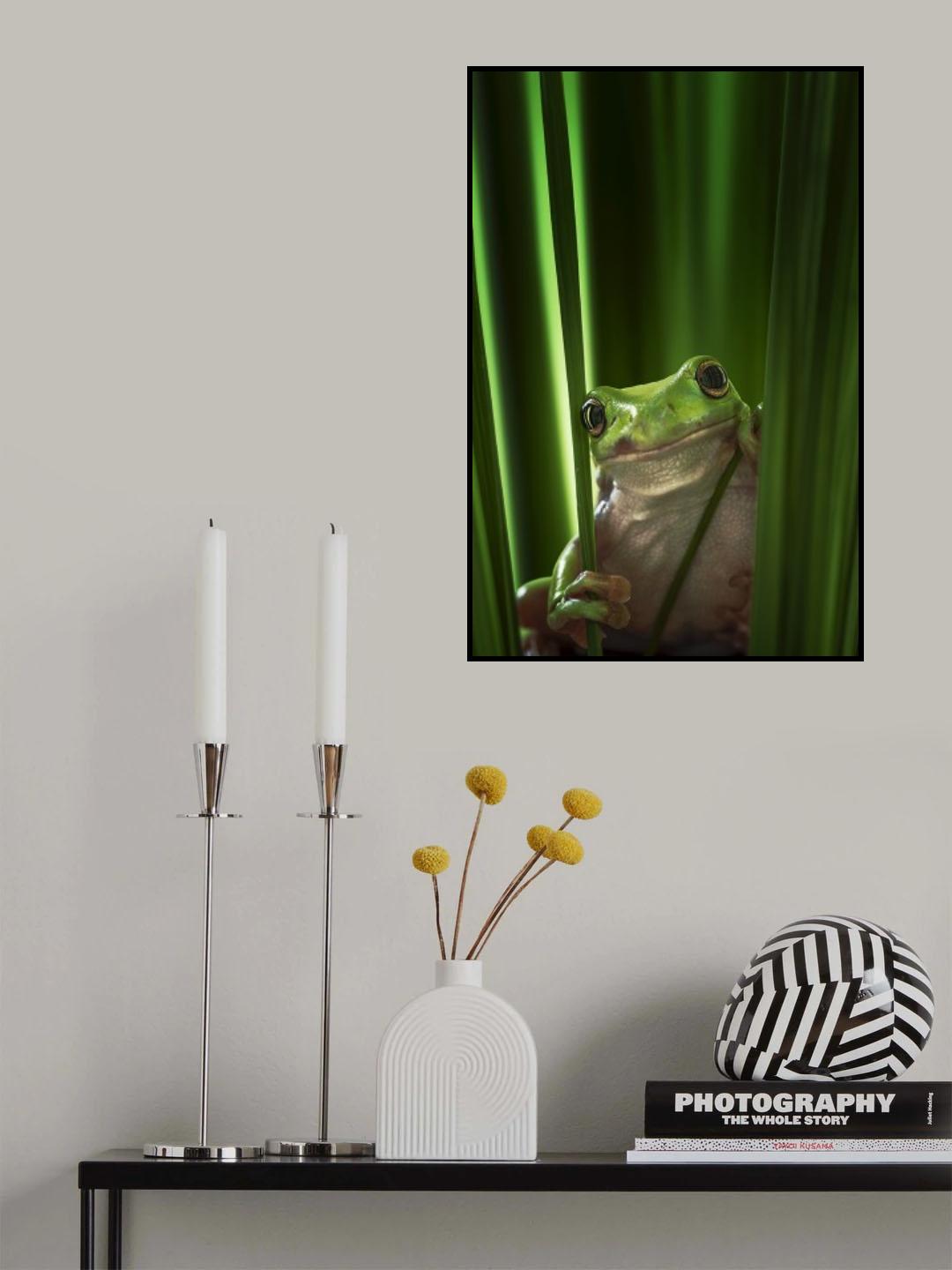 Green Frog Poster och Canvastavla