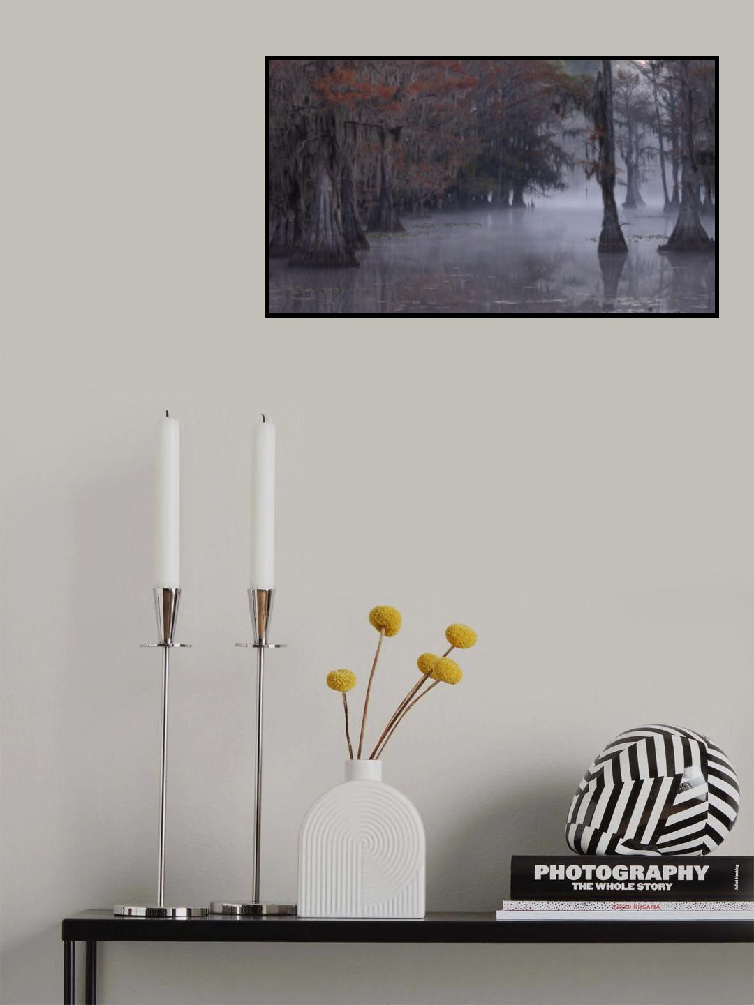 Lake Caddo Poster och Canvastavla