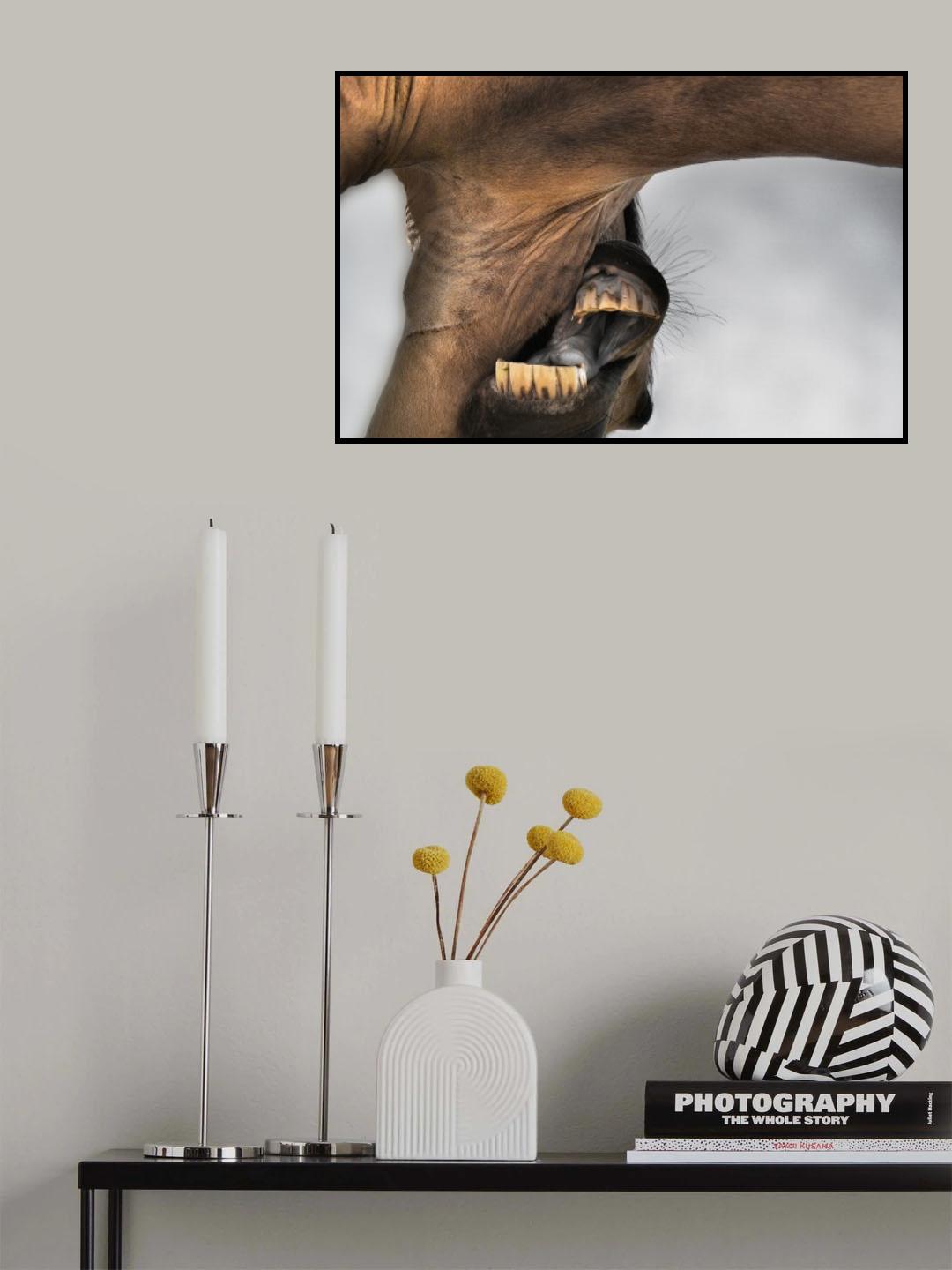 rasca y pica Poster och Canvastavla