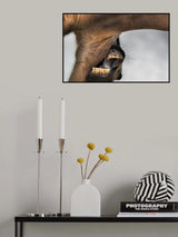 rasca y pica Poster och Canvastavla