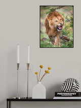 Leave me along! Poster och Canvastavla