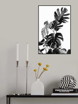 Monstera Black and White 09 Poster och Canvastavla