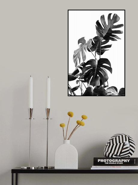 Monstera Black and White 09 Poster och Canvastavla