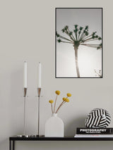 Beach flowers_002 Poster och Canvastavla