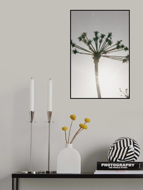 Beach flowers_002 Poster och Canvastavla