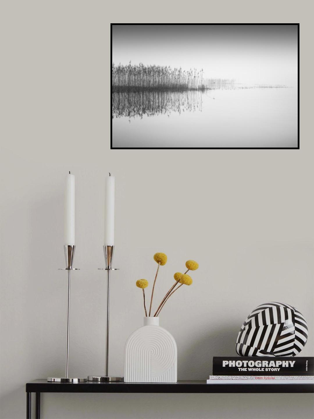 Reed in the mist Poster och Canvastavla