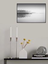 Reed in the mist Poster och Canvastavla