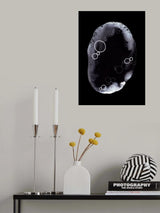 Specimen V Poster och Canvastavla