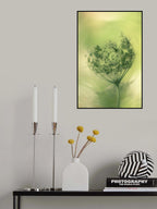 wild carrot Poster och Canvastavla