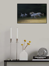 gallop through a shadow Poster och Canvastavla