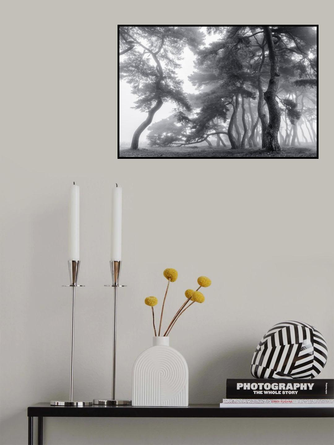 Endure for a hundred years Poster och Canvastavla