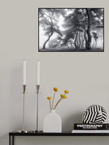 Endure for a hundred years Poster och Canvastavla