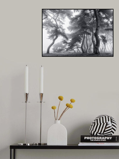 Endure for a hundred years Poster och Canvastavla