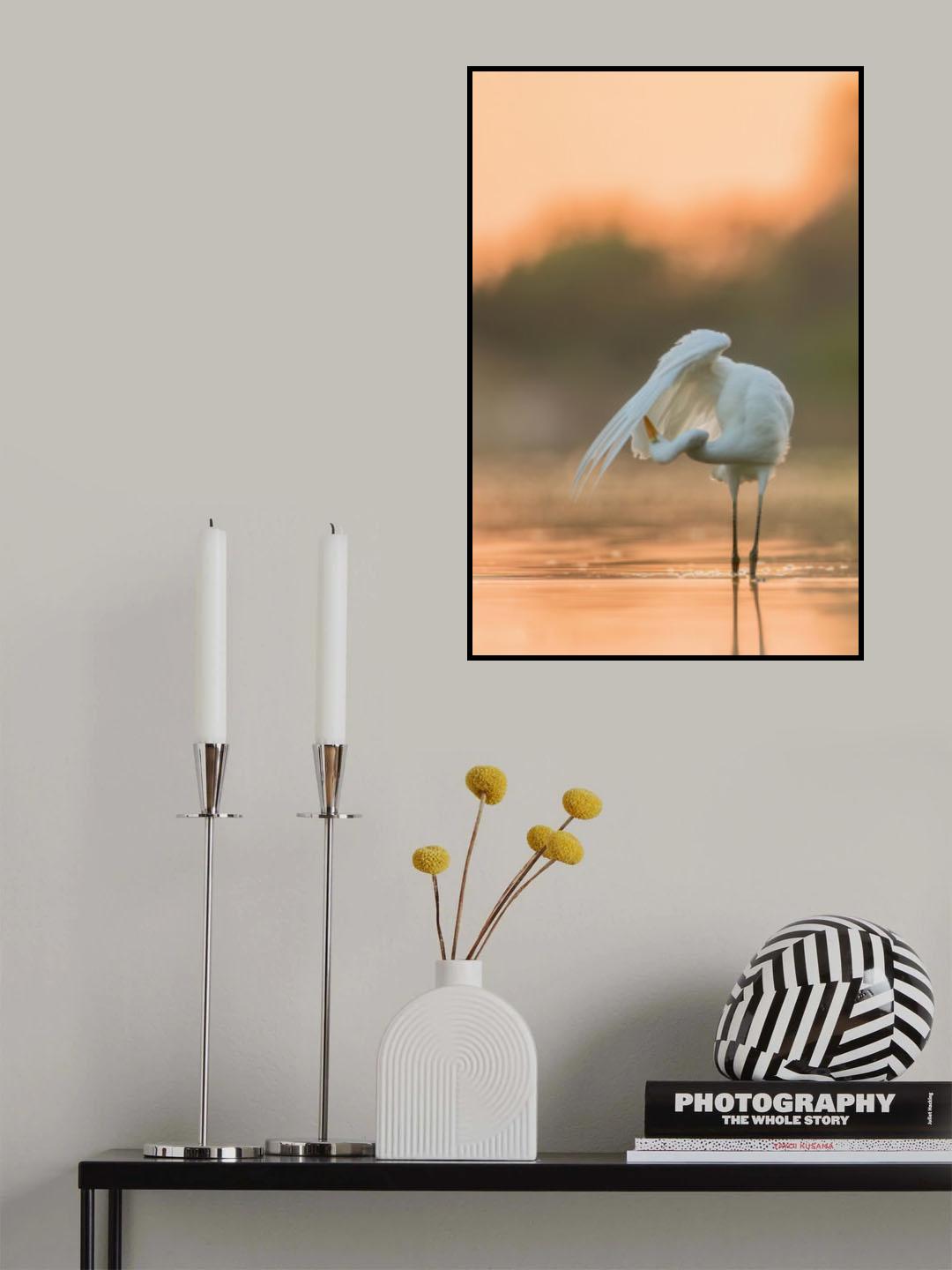 Harmony Poster och Canvastavla