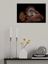 Moments Poster och Canvastavla