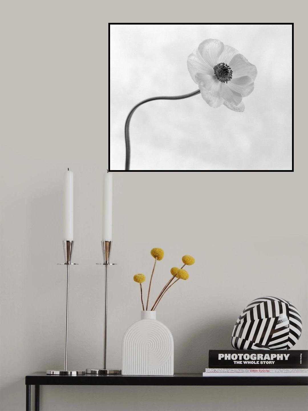 Anemone No. 3 Poster och Canvastavla