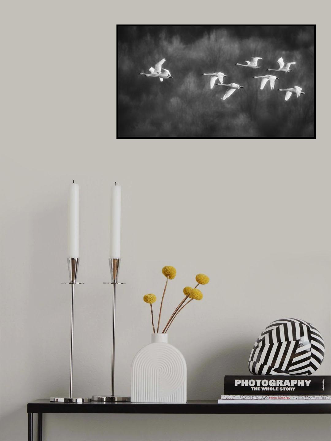 Poster och Canvastavla