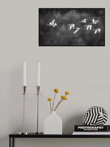 Poster och Canvastavla