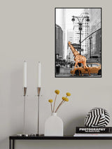 Morning Walk Poster och Canvastavla