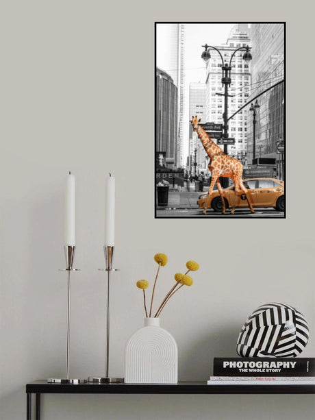 Morning Walk Poster och Canvastavla
