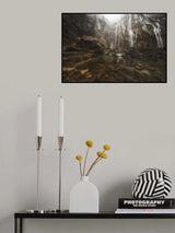 WATER WALL Poster och Canvastavla