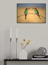 Bee-eater Poster och Canvastavla