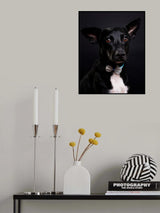 Mister chico Poster och Canvastavla