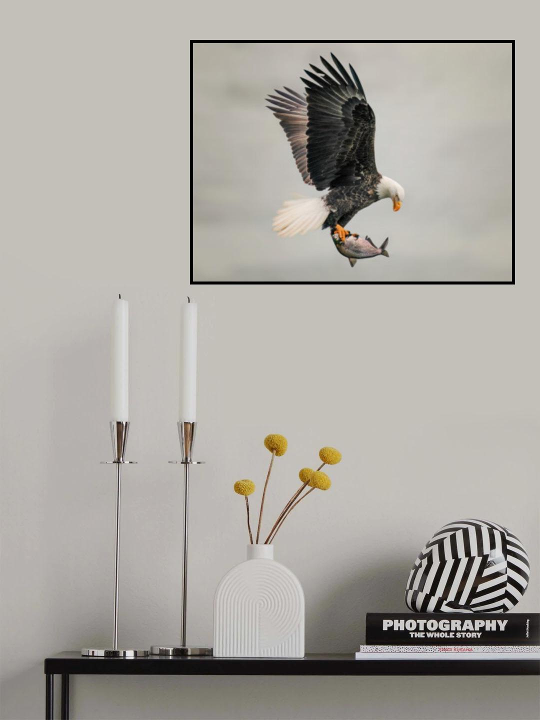 Catch fish Poster och Canvastavla