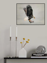 Catch fish Poster och Canvastavla