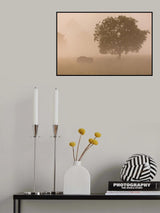 European bison Poster och Canvastavla