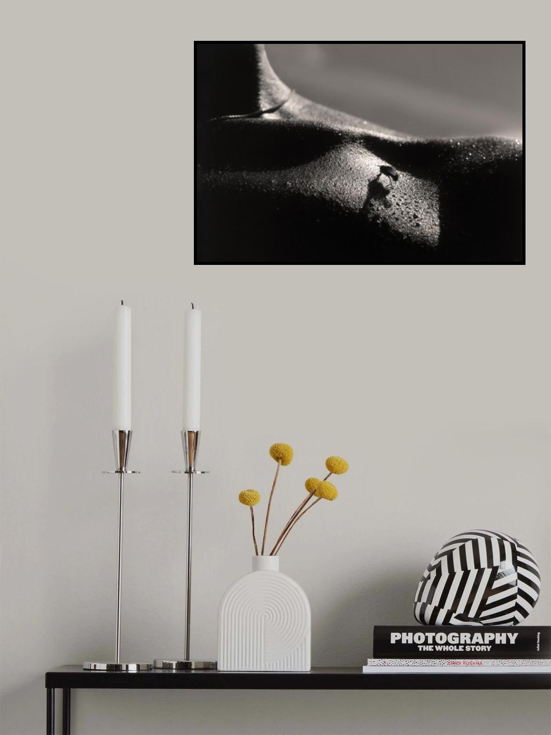 The fly. Poster och Canvastavla