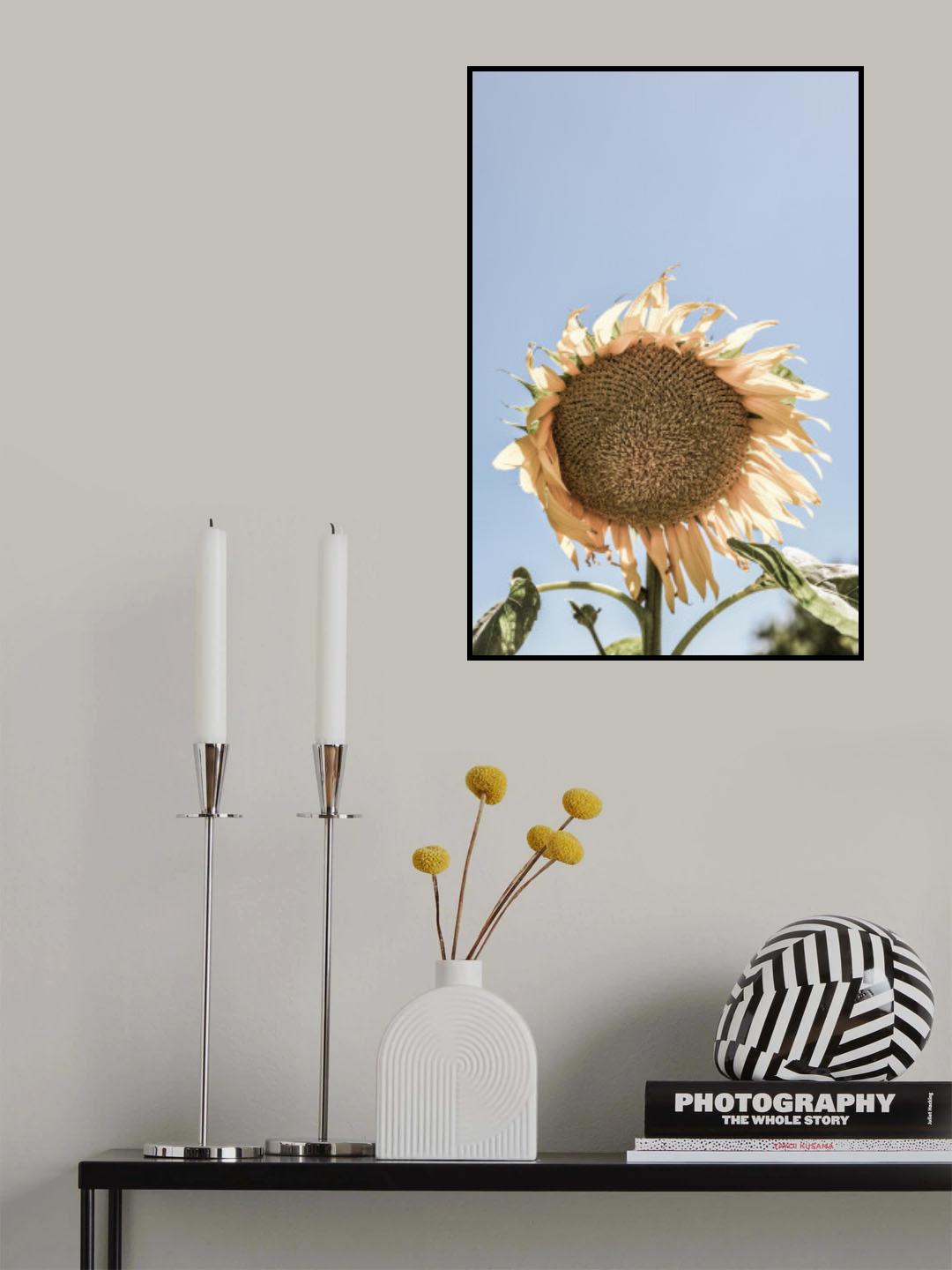 Sunny Bloom Poster och Canvastavla
