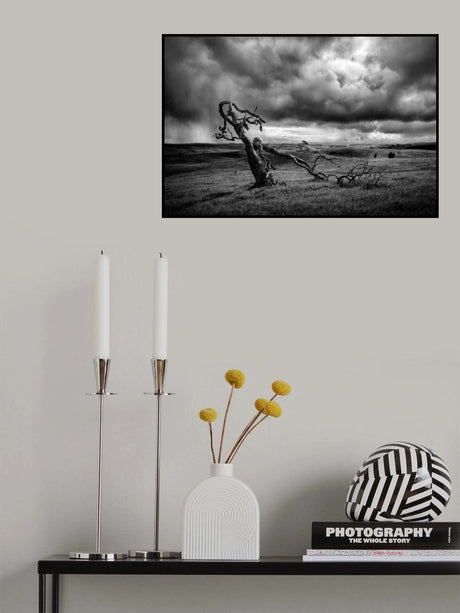 The Moonah Tree Poster och Canvastavla