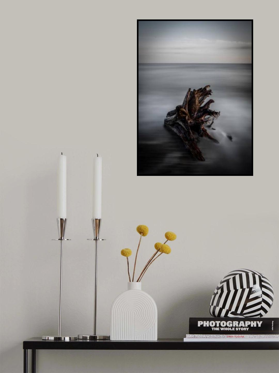 Naufrago Poster och Canvastavla