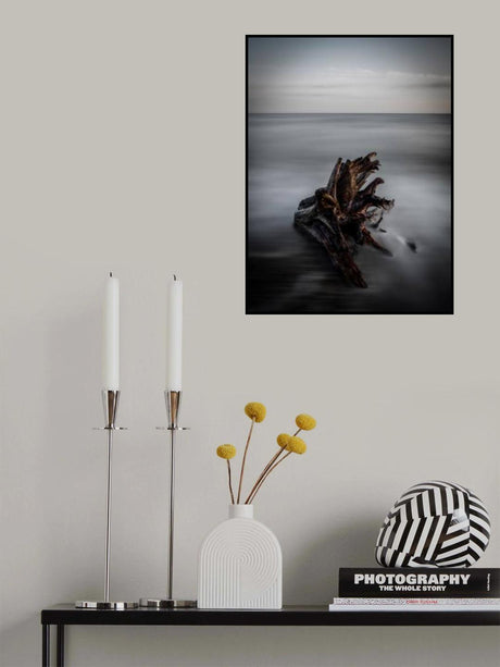 Naufrago Poster och Canvastavla