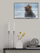 Shaking - Kamchatka, Russia Poster och Canvastavla