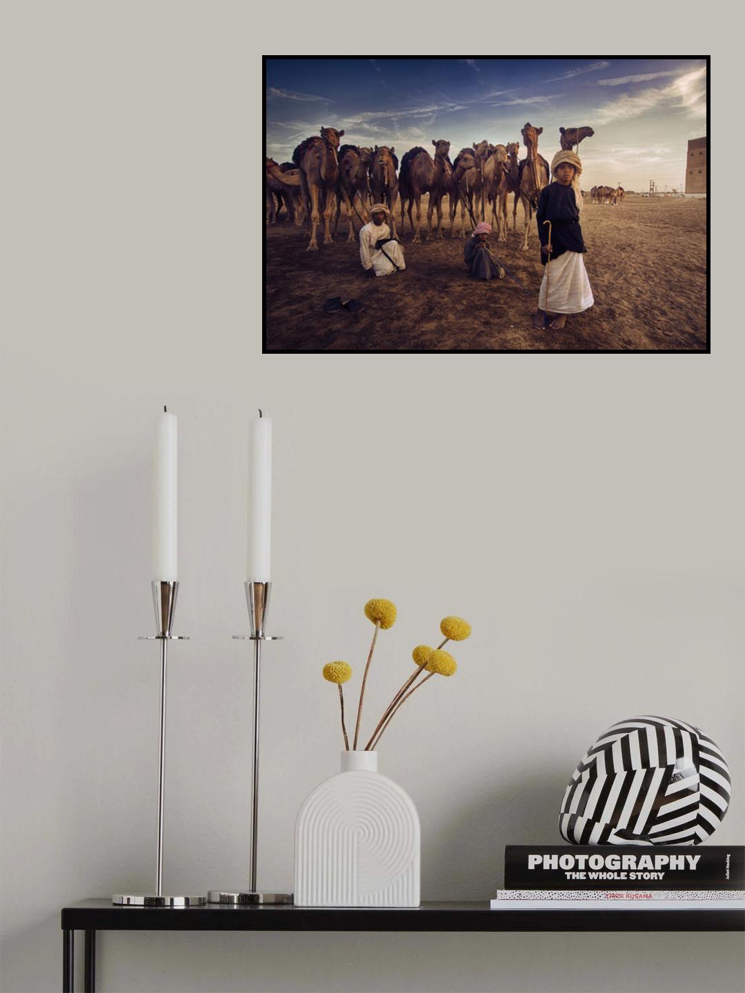 boys with camles Poster och Canvastavla