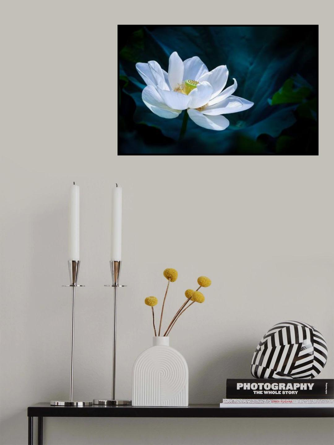 Lotus Poster och Canvastavla