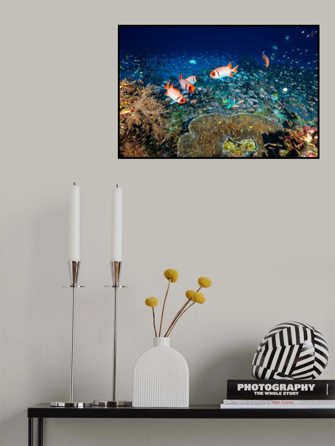 Reef life Poster och Canvastavla