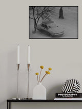 (C)old times Poster och Canvastavla